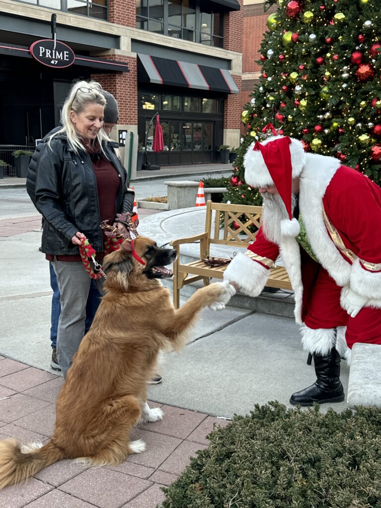 Santa at Pups & Pints Holiday Edition